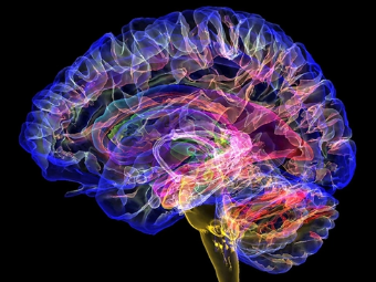 sH漫视大脑植入物有助于严重头部损伤恢复